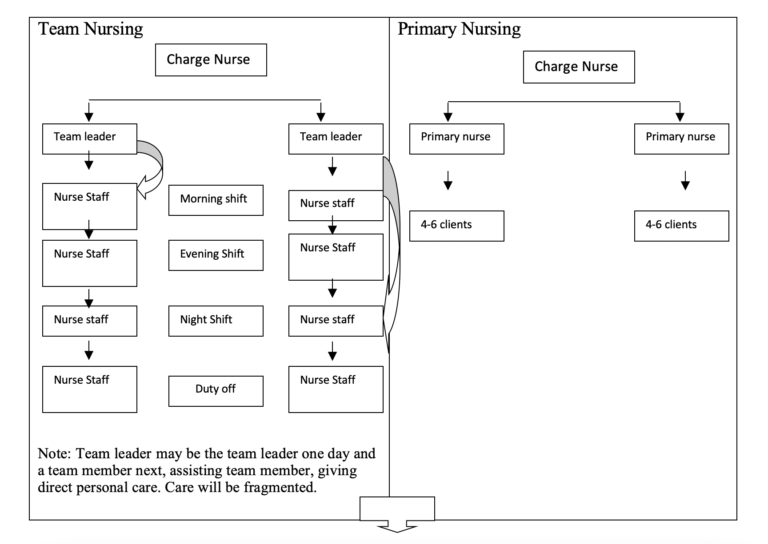 the-innovation-of-nursing-care-delivery-system-a-hybrid-model-jokogunawan